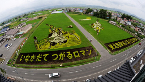 rice_art_2010_1.jpg