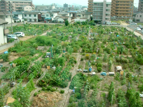 granjasurbanasjapon_wwwjaponpop.com08.jpg