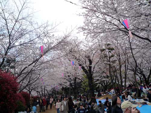 20090406101316a32.jpg