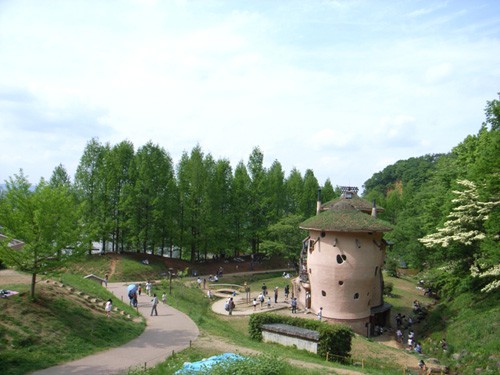 r0012462.jpg