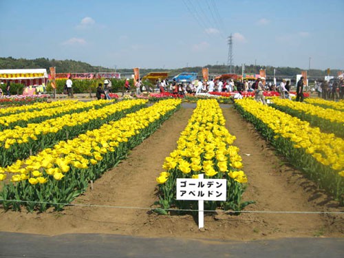 200904_14_56_a0108356_11345740.jpg