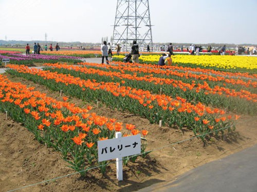 200904_14_56_a0108356_11538131.jpg