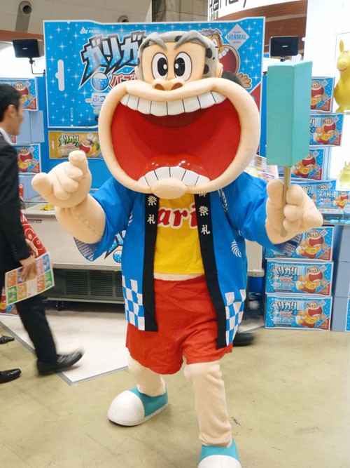 tokyo_toy_show2010_garigarikun_puzzle17.jpg