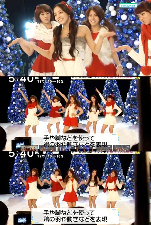 20111129_chicken_11.jpg