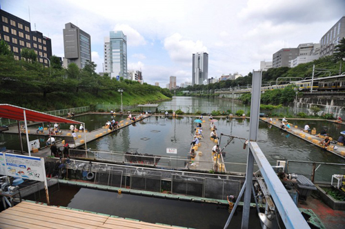 ichigaya_fishing_1.jpg
