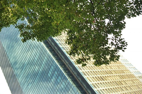 tokyo_midtown_park_6622.jpg