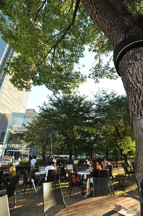 tokyo_midtown_park_6651.jpg