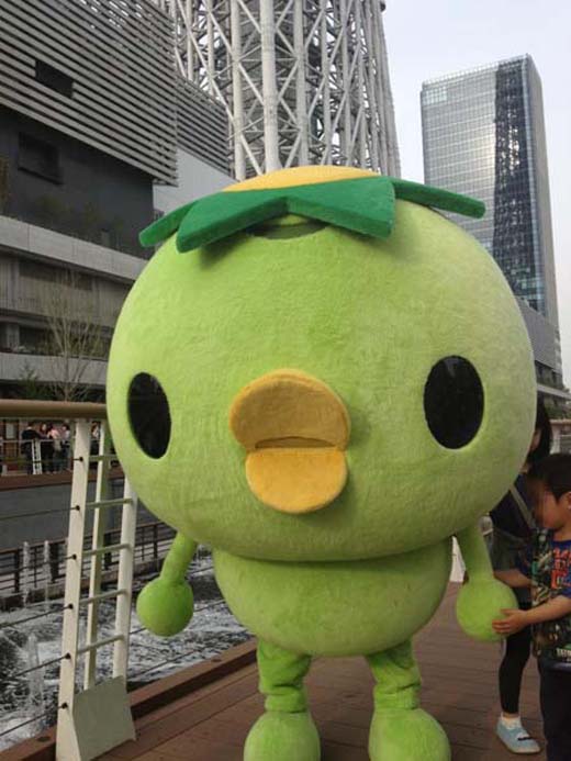 kotasanpo.jpg