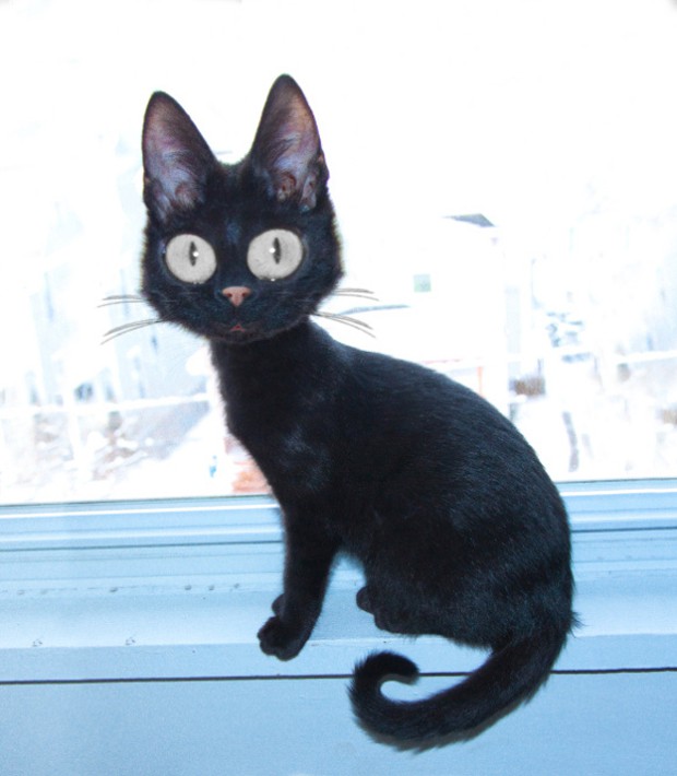 real-jiji.jpg
