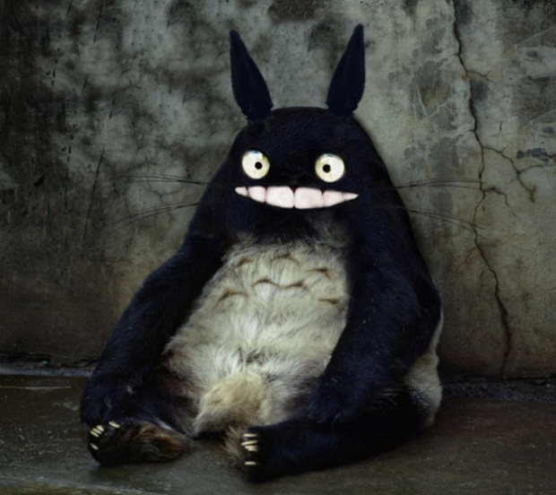 real-totoro.jpg