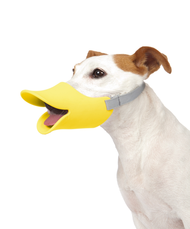 perro-pico-pato-02japonshop.png
