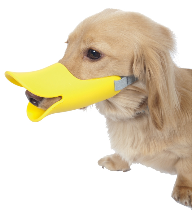 perro-pico-pato-03japonshop.png