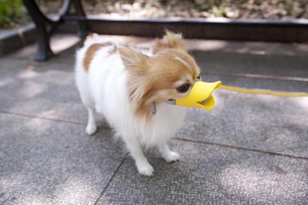 perro-pico-pato-japonshop06.png