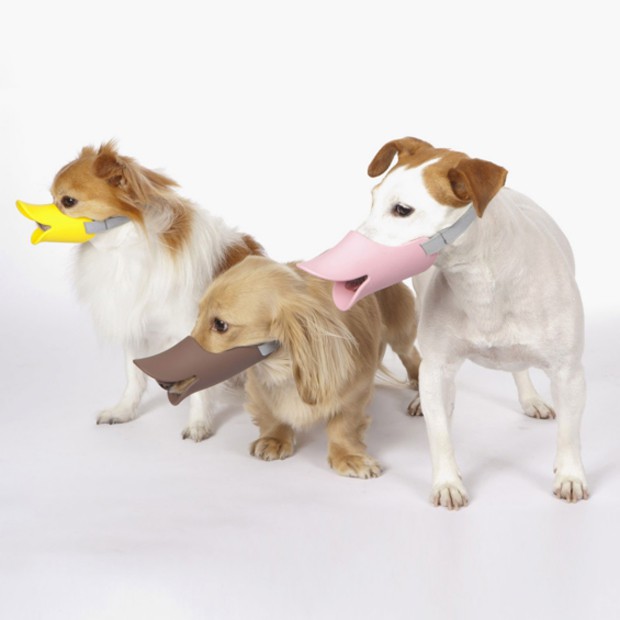 perro-pico-pato-japonshop07.jpg