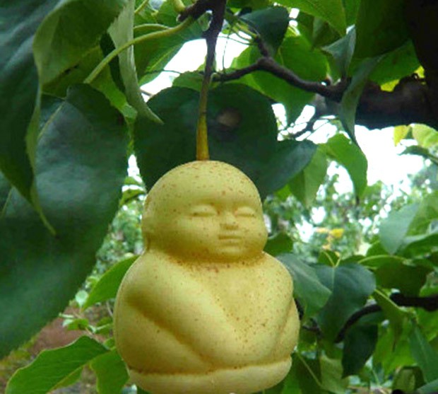 pera-bebe-japonshop03.jpg