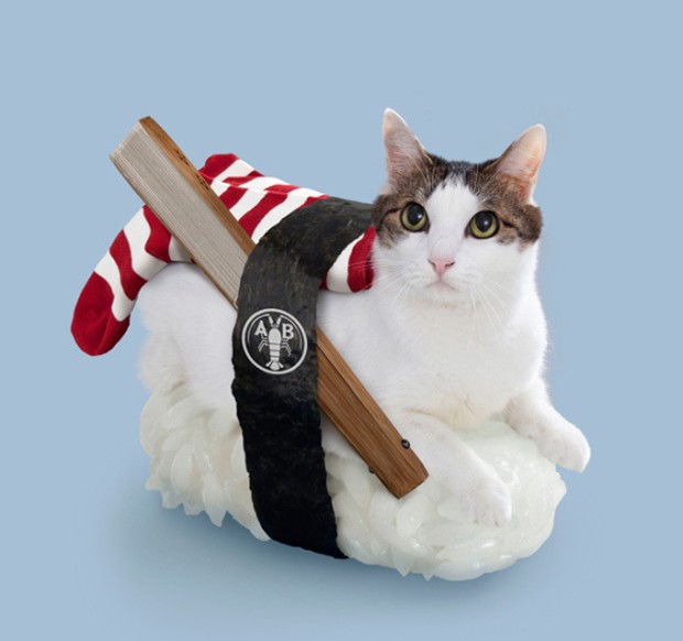 gato-sushi-japonshop-07.jpg