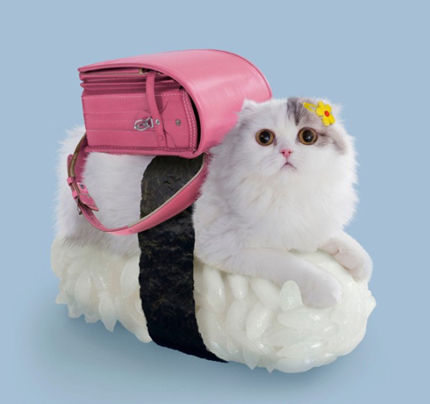 gato-sushi-japonshop02.jpg