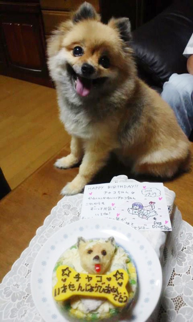 tartas-para-perros-japonshop06.jpg