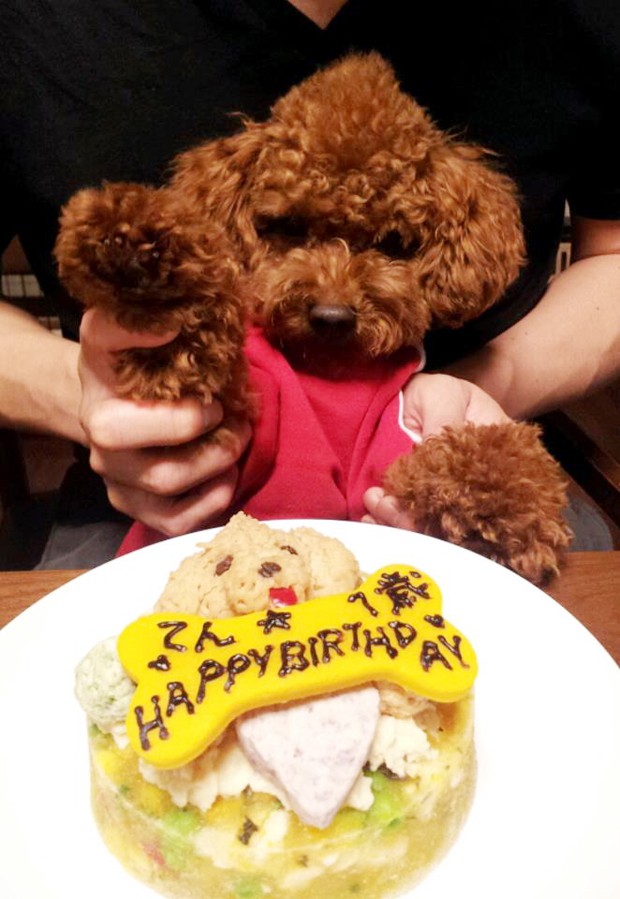 tartas-para-perros-japonshop07.jpg