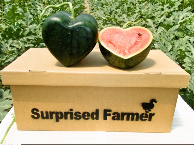 sandia-japonesa-forma-corazon-japonshop03.jpg