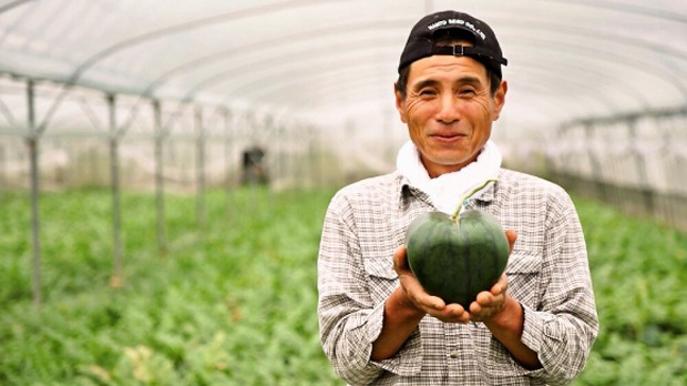 sandia-japonesa-forma-corazon-japonshop05.jpg
