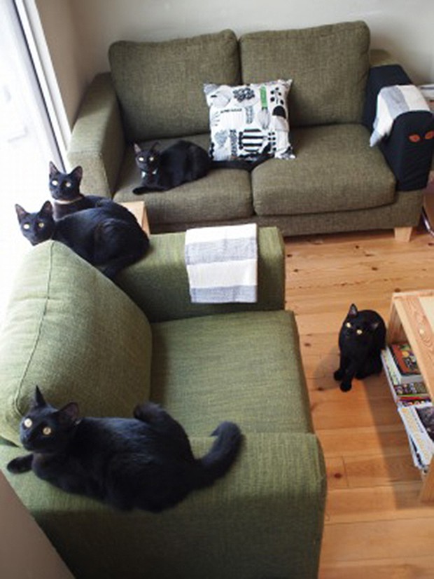 cafeteria-japon-gatos-negros-japonshop05.jpg