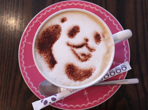 cafeteria-panda-japon-japonshop08.jpg