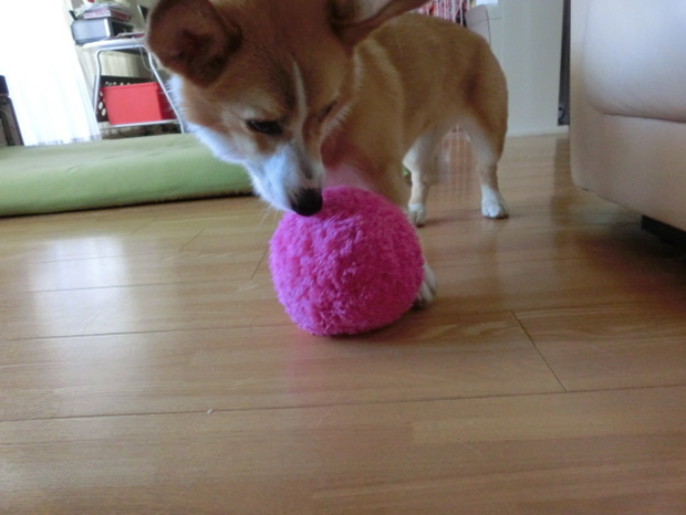 Mocoro-aspirador-robotico-japones-peluche-japonshop.png