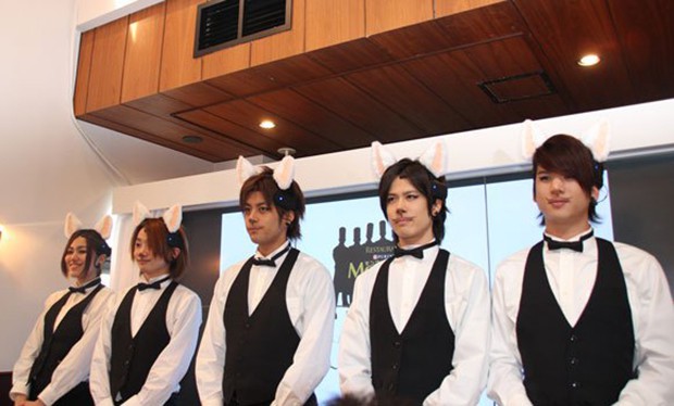 restaurante-comida-para-gatos-japon-japonshop022.jpg