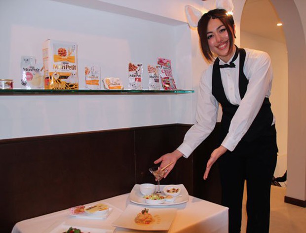 restaurante-comida-para-gatos-japon-japonshop04.jpg
