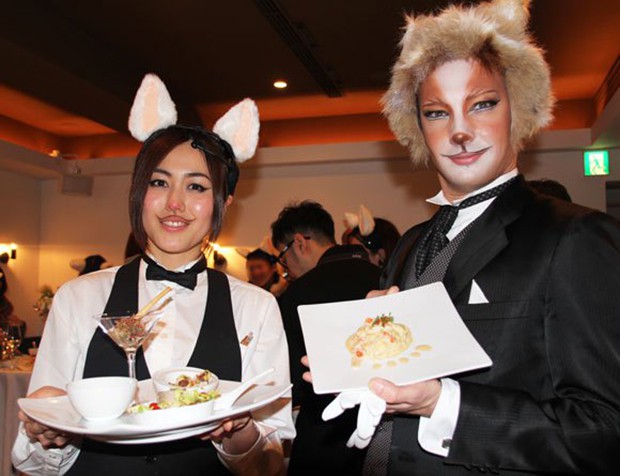 restaurante-comida-para-gatos-japon-japonshop05.jpg