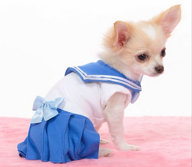 cosplay-sailor-moon-perros-japon-japonshop07.png