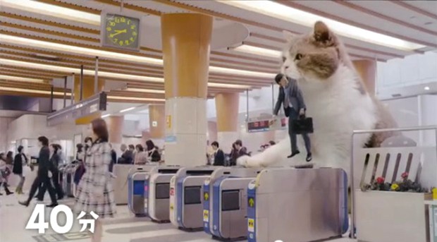 gato-bus-japon-japonshop05.jpg