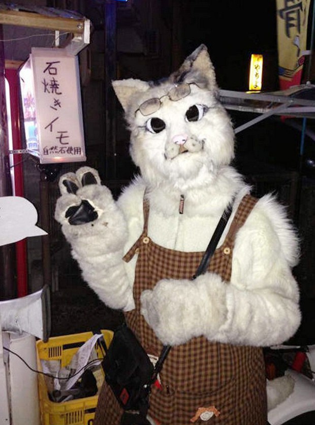 gato-japon-vendedor-boniatos-japonshop07.jpg