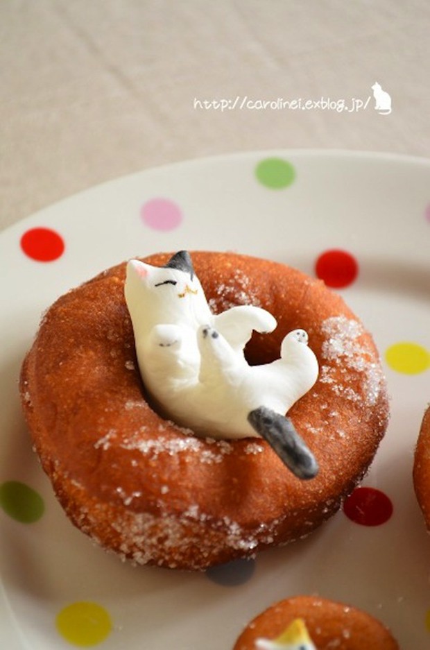 mochi-gatos.japon-japonshop0017.jpg