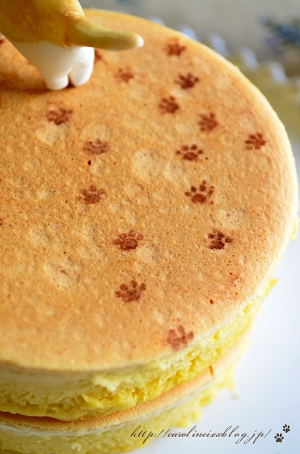 mochi-gatos.japon-japonshop0018.jpg