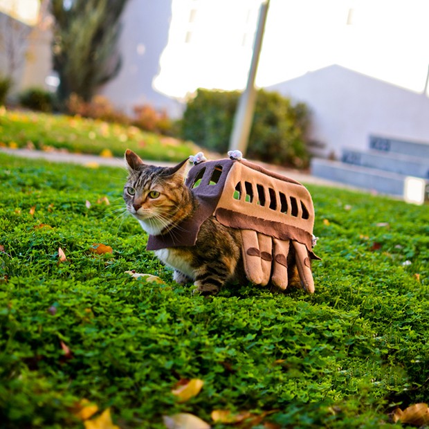Nekobasu-gato-bus-totoro-japonshop05.jpg
