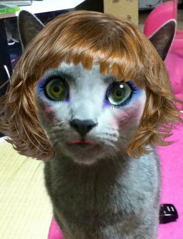 perros-gatos-maquillados-japon-japonshop02.jpg