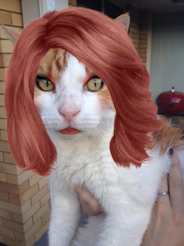 perros-gatos-maquillados-japon-japonshop07.jpg