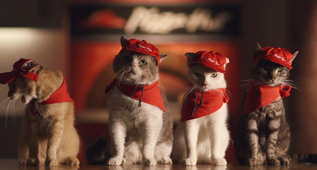 gatos-pizza-hut-japon-japonshop04.png