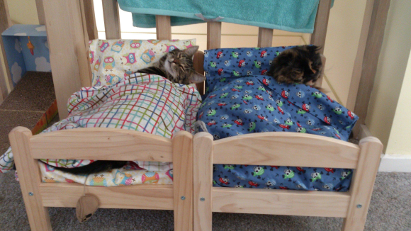 gato-cama-ikea010.png