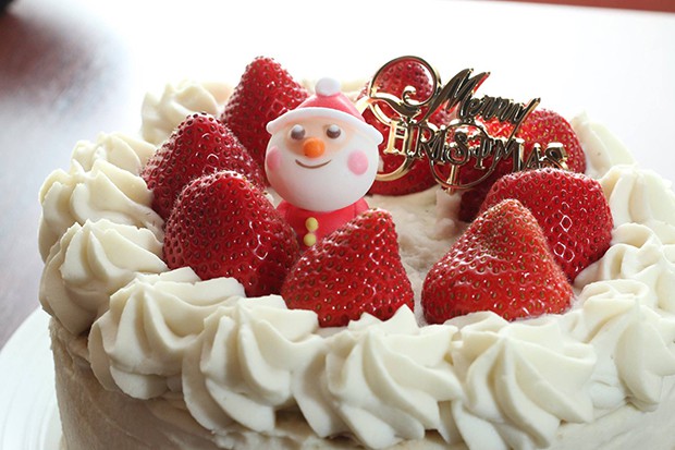 tarta-cake-shotokeki-japon-japonshop09.jpg