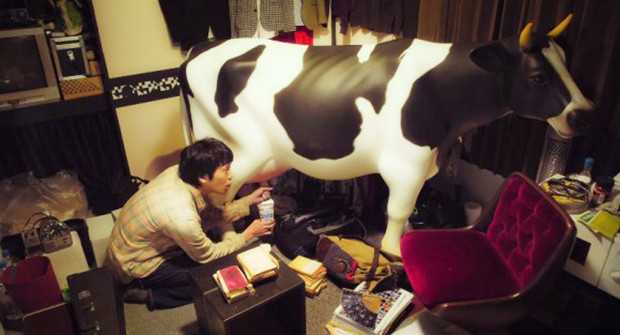 vaca-nissin-cup-noodles-japon-japonshop.jpg