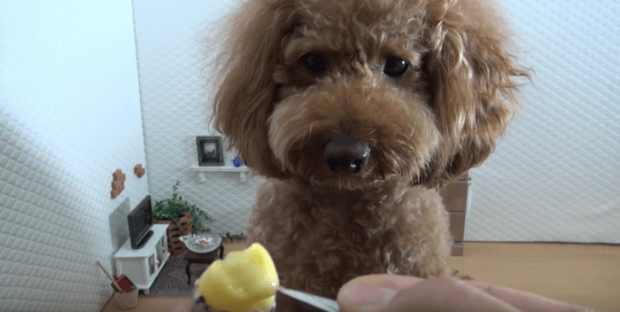 minipudding-620x312.png