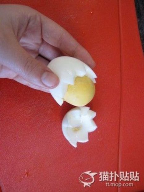 cute-eggs3-466x620.jpg