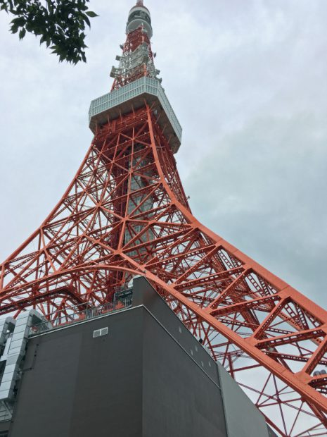 pgt8-465x620.jpg