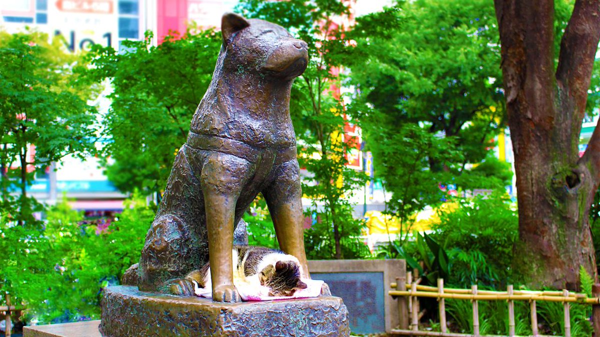 hachiko.jpg