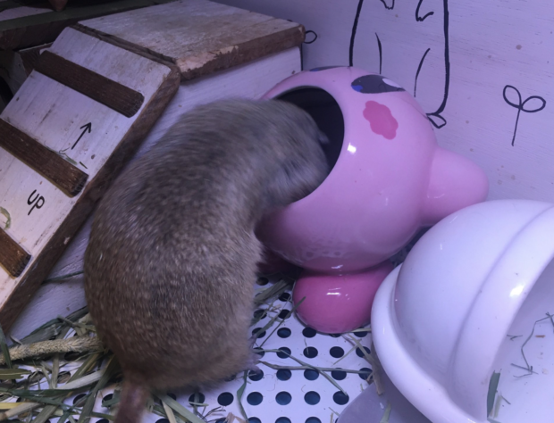Captura-de-pantalla-2019-12-19-a-las-9.44.00-620x474.png