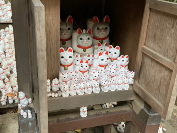 n6-620x465.png