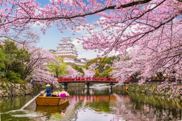 hanami-castillo-himeji-620x414.jpg
